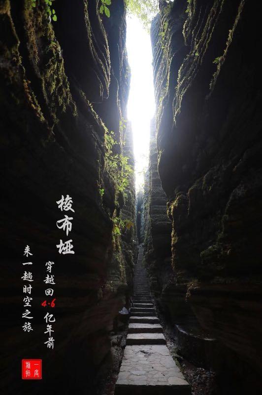 时尚女郎芭比